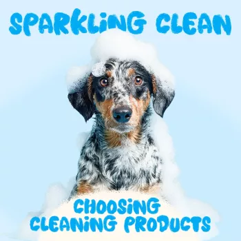 Pet-Safe Cleaning Products: Label Checks & Red Flags