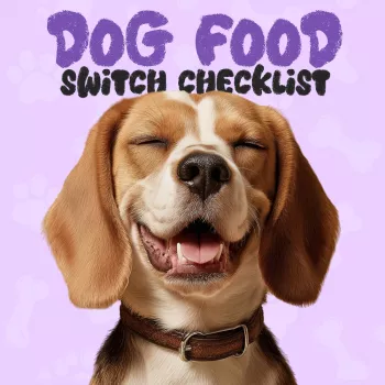 Switching Dog Food: When to Change + 7–10 Day Plan